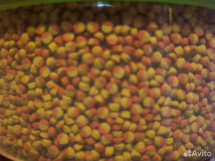 Tetra cichlid colour mini pellets 500 ml