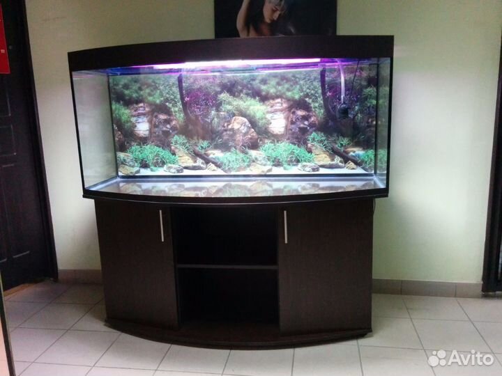 Аквариум 500 полукруглый, свет биофильтр тумба фон