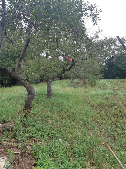 Дом 42,4 м² на участке 29 сот.