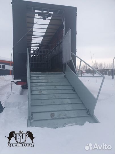 Услуги скотовоза, перевозка скота (коров, быков)