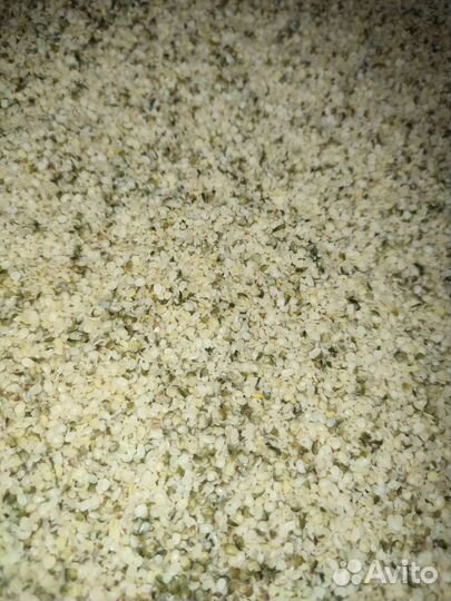 Ядро семян конопли