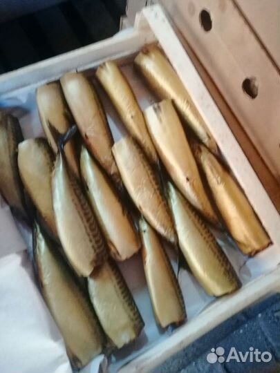 Рыба оптом. х/к, вяленая, солёная