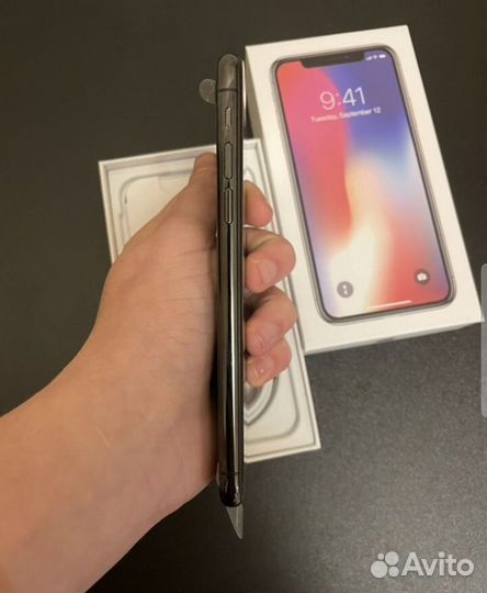 iPhone X, 256 ГБ