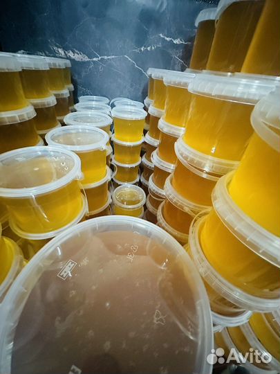 Мёд оптом с Калининградской пасеки