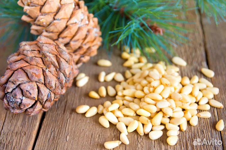 Упаковка кедрового ореха 500гр