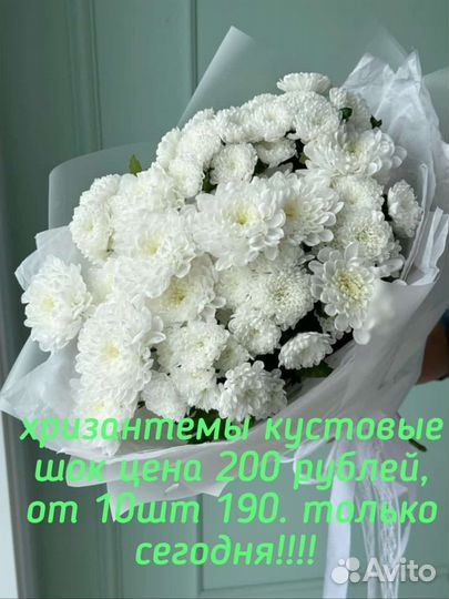 Ростовые цветы