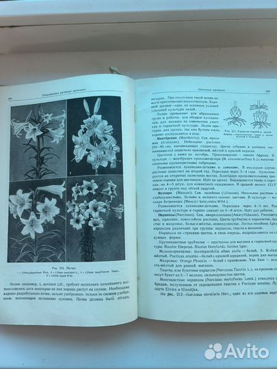 Книга по цветоводству 1949 г