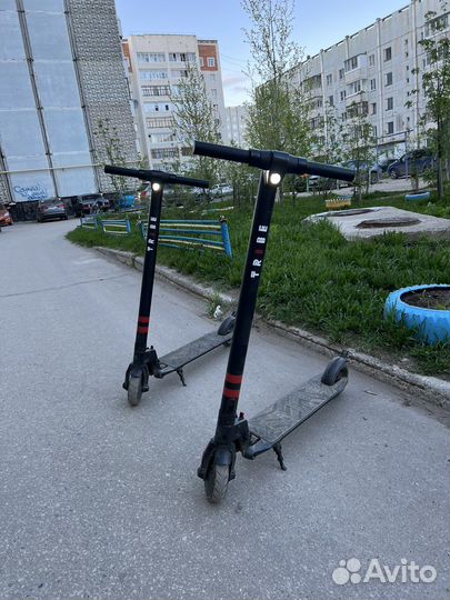 Самокат tribe zulu