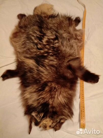 Меховые воротник и шкурки