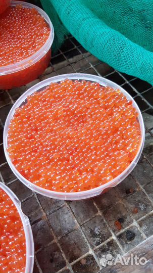 Икра горбуши