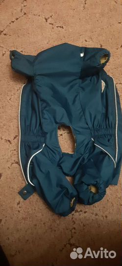 Комбинезон-дождевик для хорошего мальчика(такса)