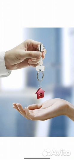 Помощь в сдаче в аренду и Доверительное управление