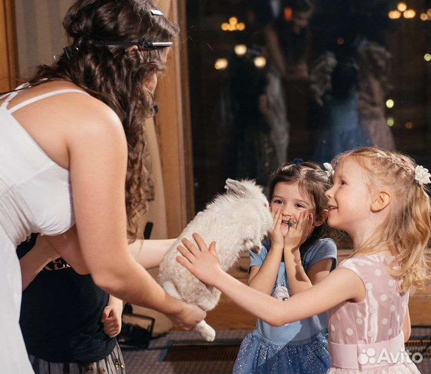 Фокусник на праздник День Рождения - Мисс Москвы