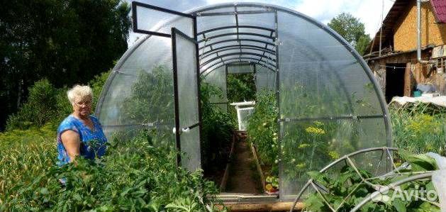 Теплица 3 на 6 м