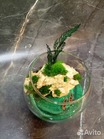 Флорариум (Моссариум) мини