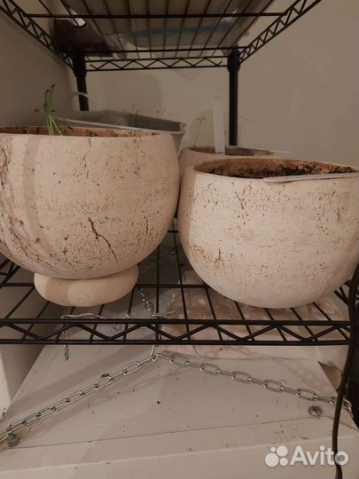 Кашпо горшок для цветов