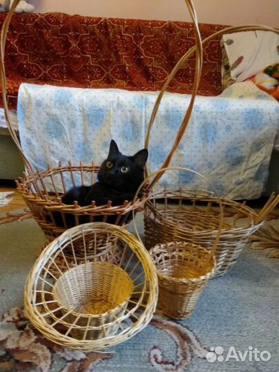 Корзины для цветов