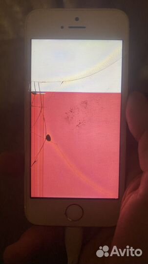 iPhone SE (2020), 64 ГБ