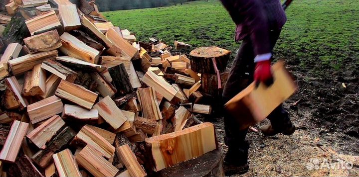 Дрова с Приморска