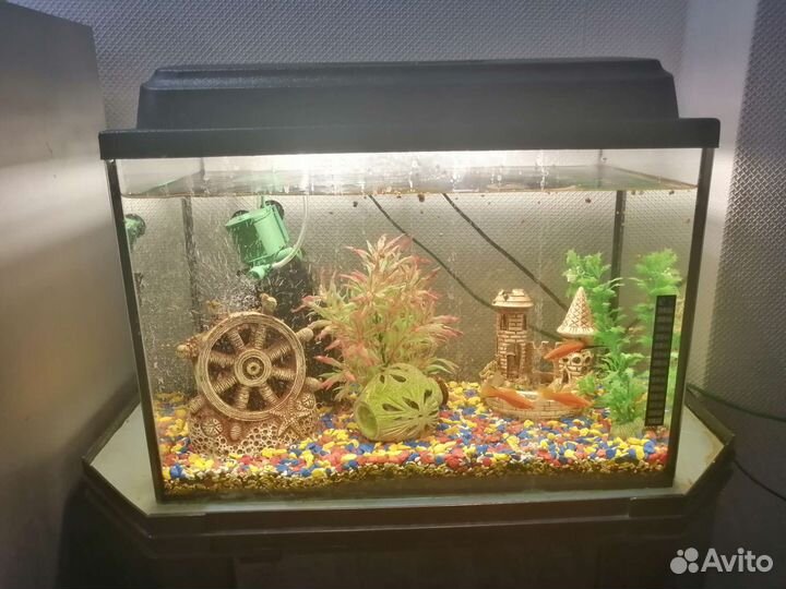 Аквариум