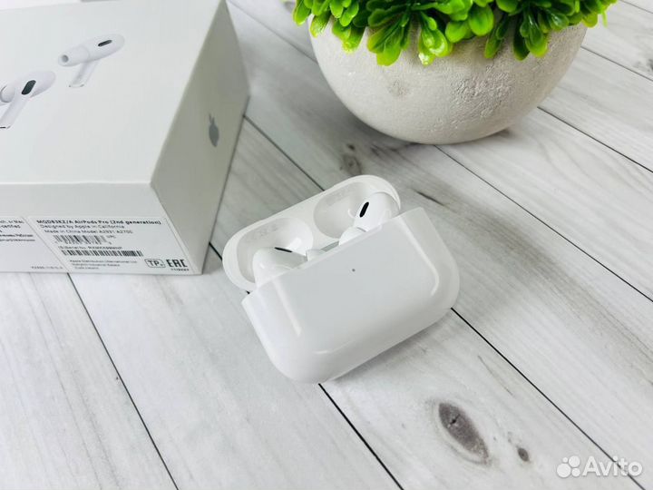 Airpods Pro 2 (Гарантия, Чехол)