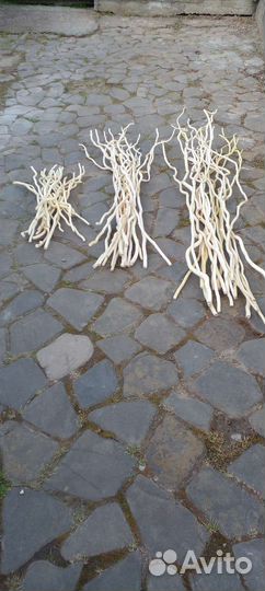 Ветки для поделок и декора