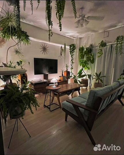 Приют для домашних растений