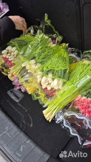 Тюльпаны свежие букет Мытищи