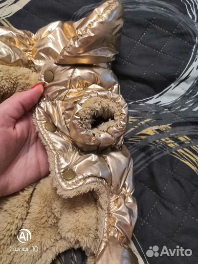 Костюм для собаки