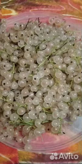 Белая смородина, сладкая, на веточке