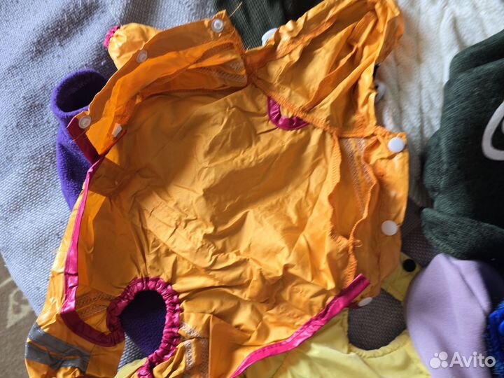 Вещи на мелкую собачку