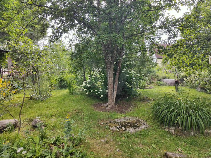 Дача 42 м² на участке 6 сот.