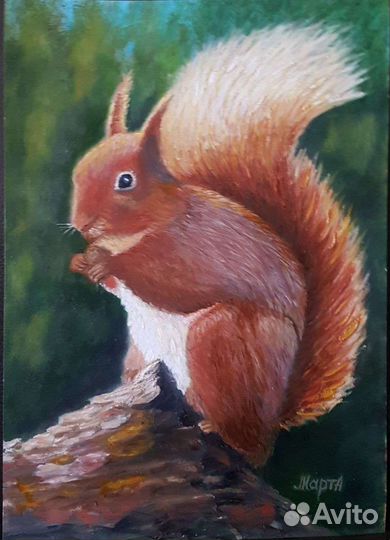 Картина маслом Белка