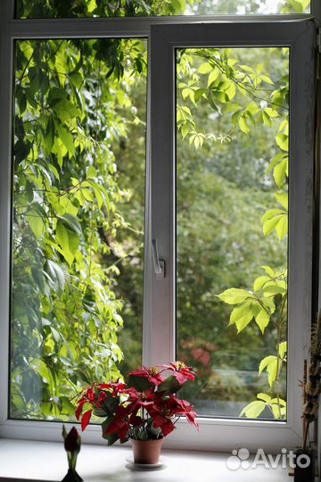 Окна металлопластиковые