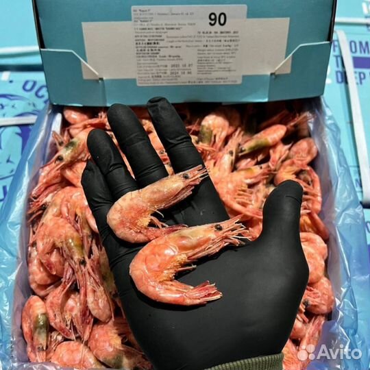 Креветка мурманская