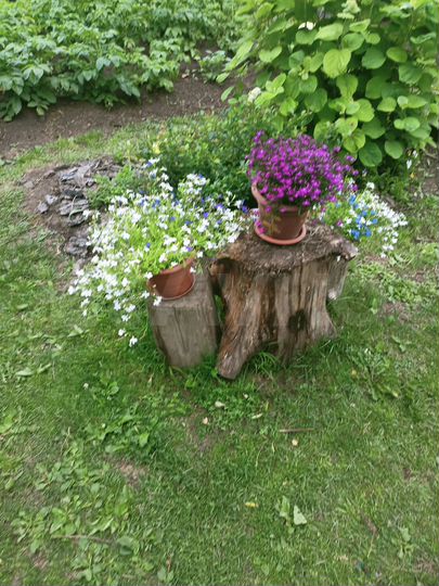 Дом 30 м² на участке 6 сот.