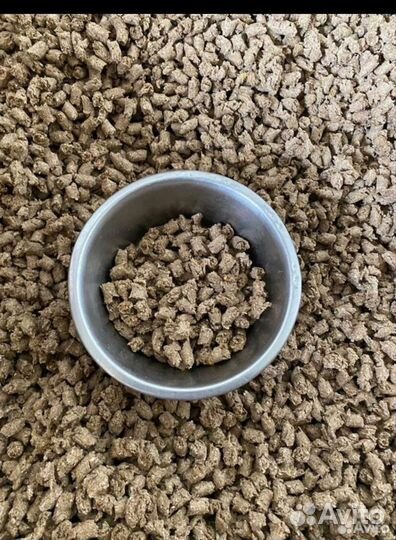 Сухой корм для собак