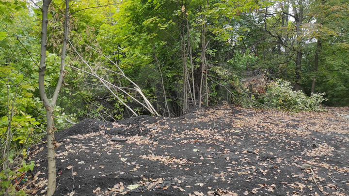 Участок 6 сот. (ИЖС)