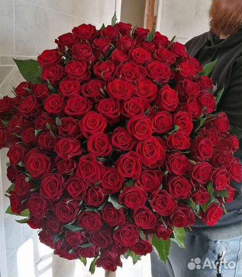 Букеты цветов из роз 15,31,51, 101 роза доставка