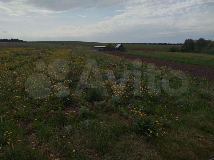 Участок 10 сот. (СНТ, ДНП)