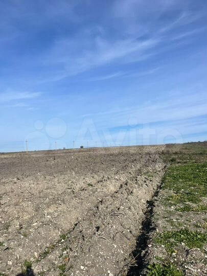 Участок 10 га (СНТ, ДНП)