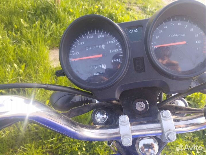 Мопед альфа рх люкс 110 кубов