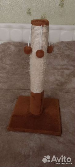 Когтеточка