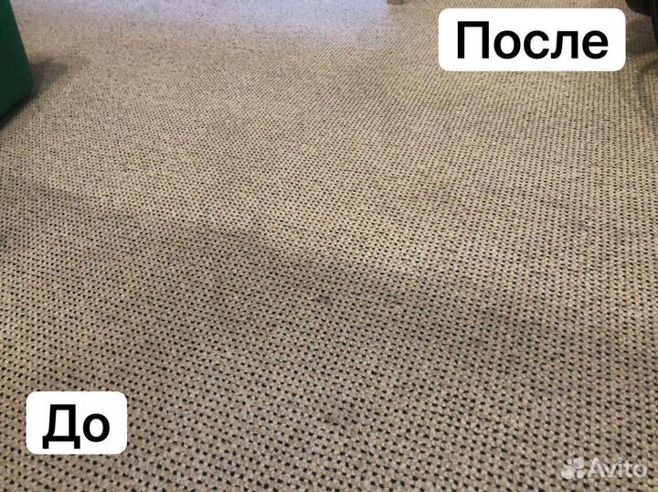 Аренда моющего пылесоса/пароочистителя Karcher