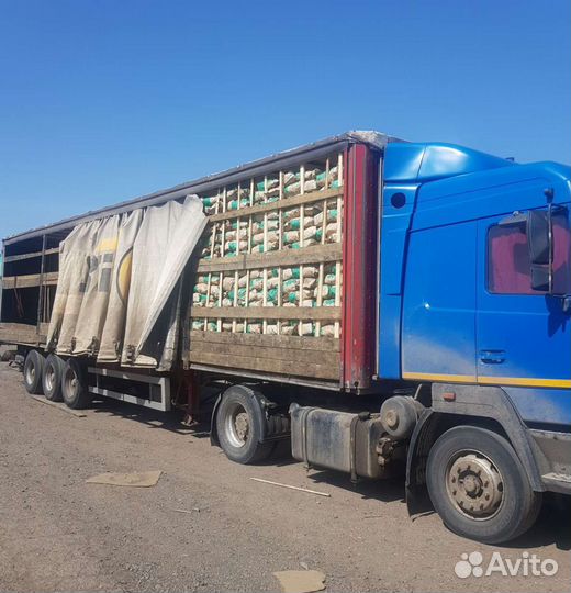 Уголь древесный березовый для шашлыка 3кг