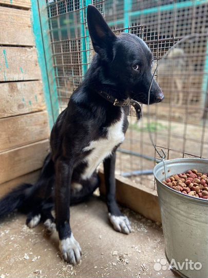 Найдите дом