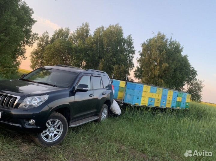 Пасека,пчелы,улья,прицеп