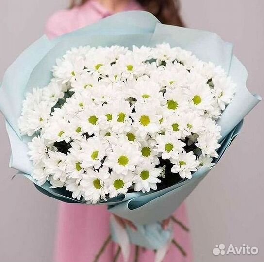 Хризантема Букет хризантем Доставка