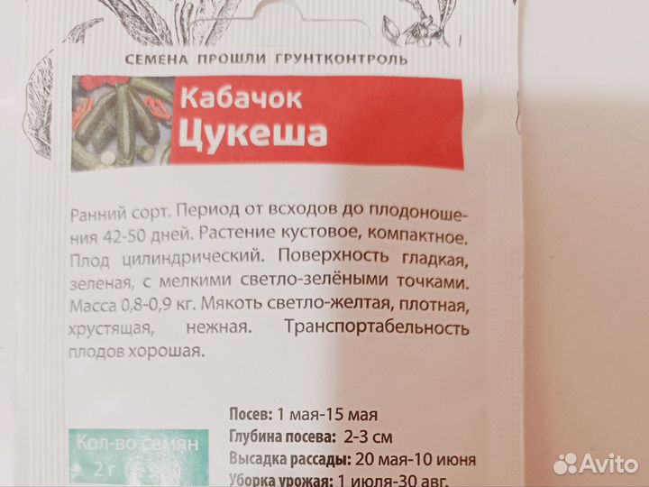 Тыква и кабачки