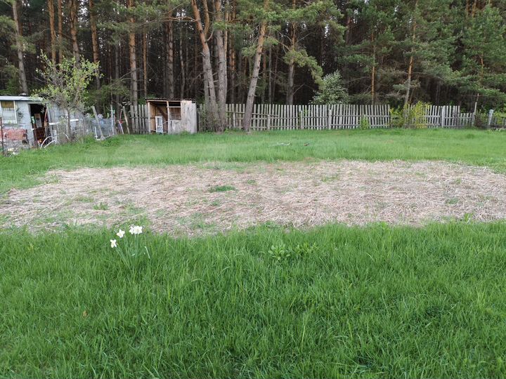 Участок 6 сот. (СНТ, ДНП)